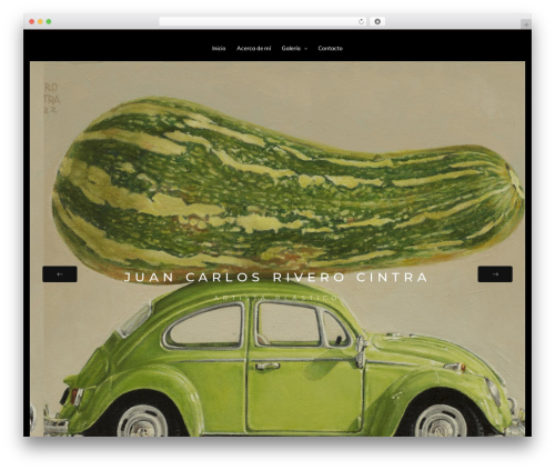 Best WordPress theme Snapster - riverocintra.com