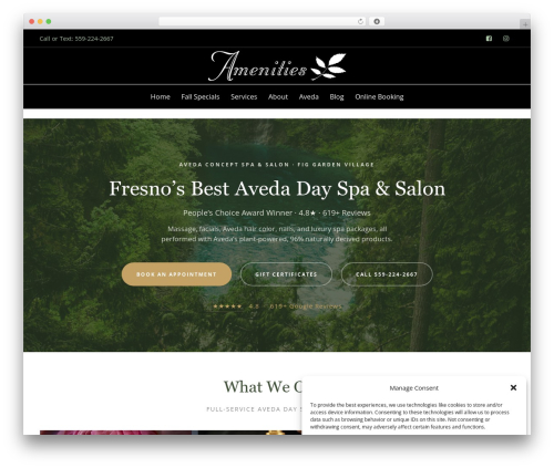 Engage best WordPress theme - amenitiesspa.com