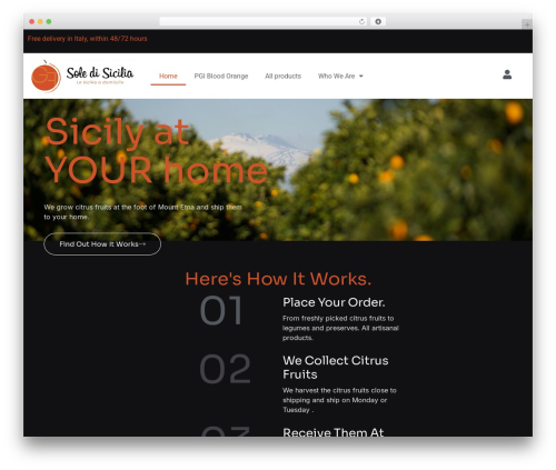 Fatturapro_click WordPress plugin - soledisicilia.it