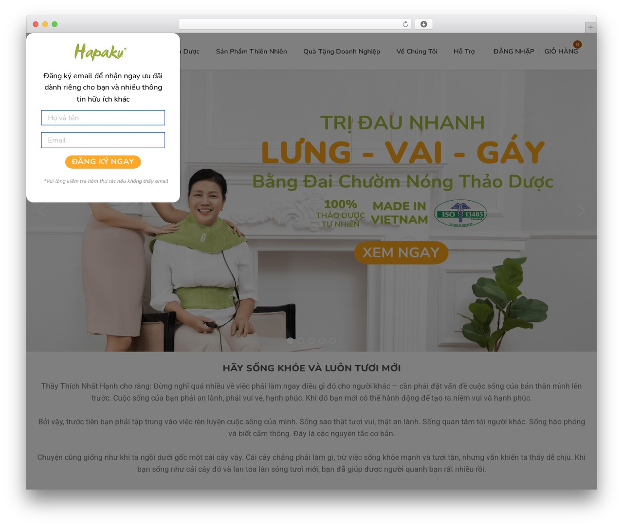 Instock theme WordPress - hapaku.net Instock theme WordPress - hapaku.net