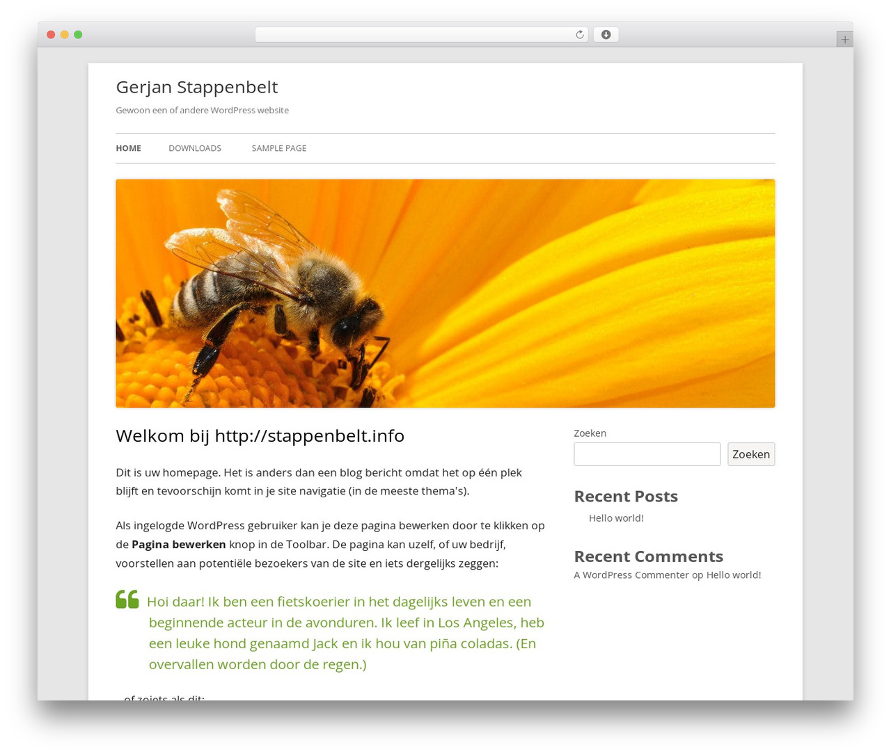 Tiny Framework WordPress theme - stappenbelt.info Tiny Framework WordPress theme - stappenbelt.info