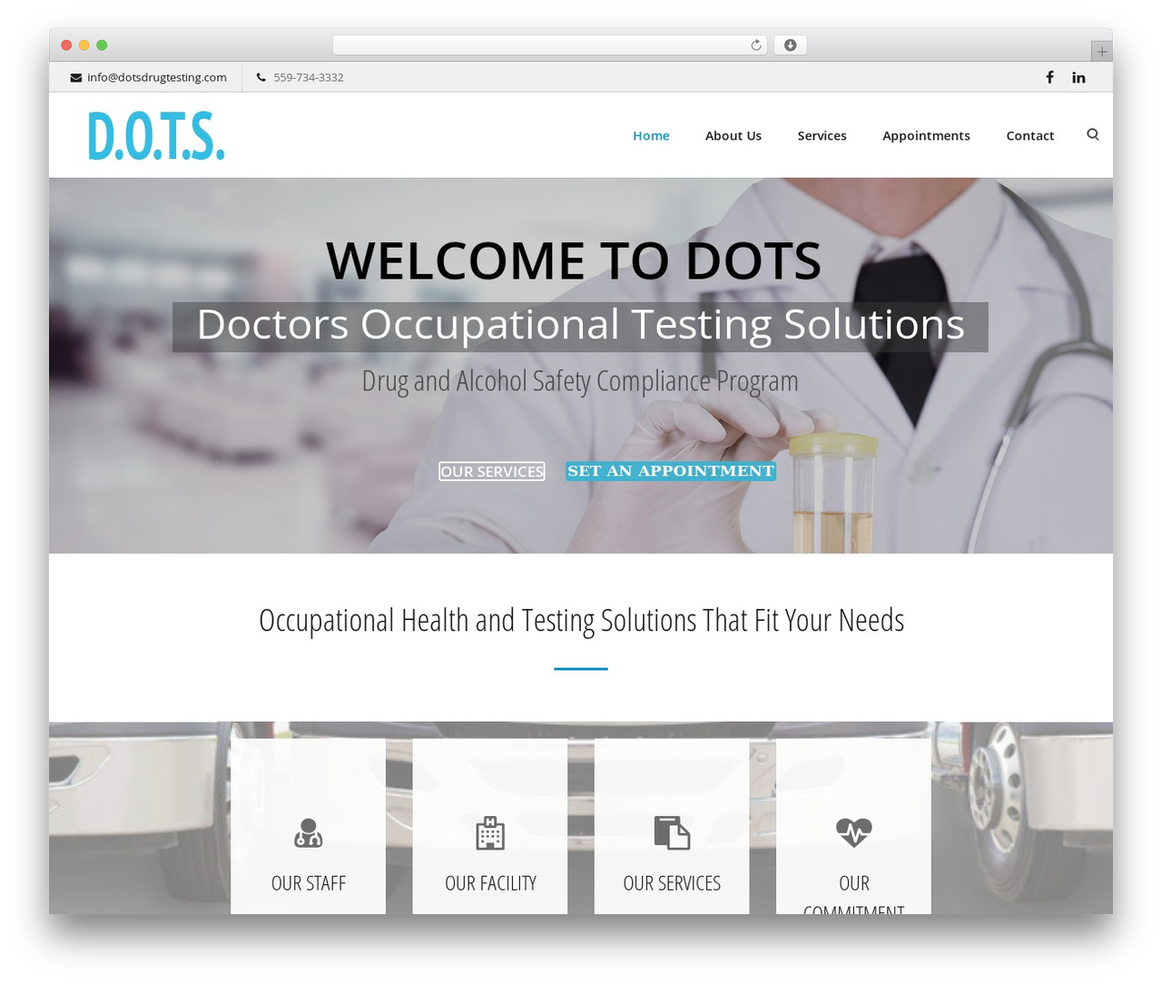 WordPress theme Lambda - dotsdrugtesting.com
