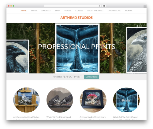 WP theme Nectar - artheadstudios.com