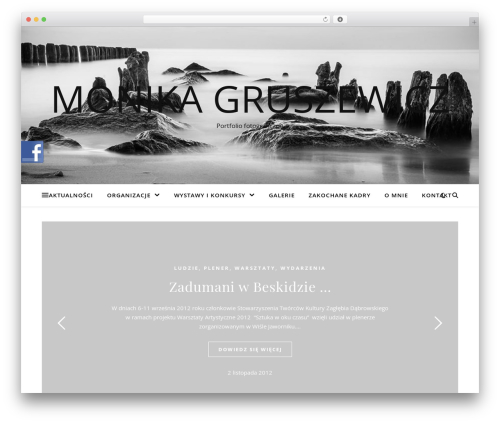 Ashe WordPress theme - monikagruszewicz.pl