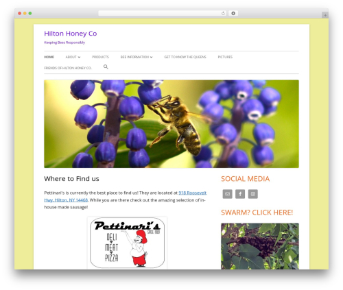Best WordPress theme Tiny Framework - hiltonhoneyco.com