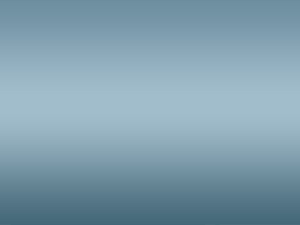 dev WordPress theme