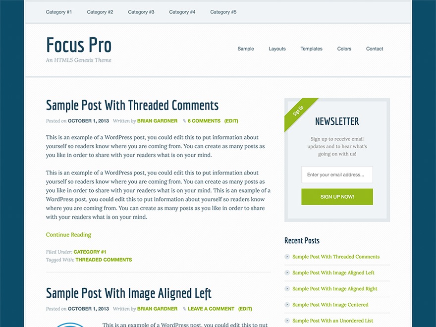 Threaded comment. Sample. Focus professional. WORDPRESS Theme Framework. Ola examples.