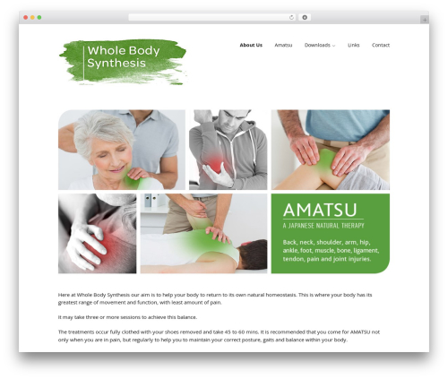 Make best WordPress theme - wholebodysynthesis.com