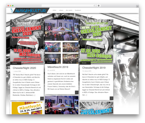 Pinbin WordPress website theme - welake.ch