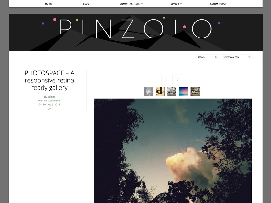 Pinzolo best free WordPress theme