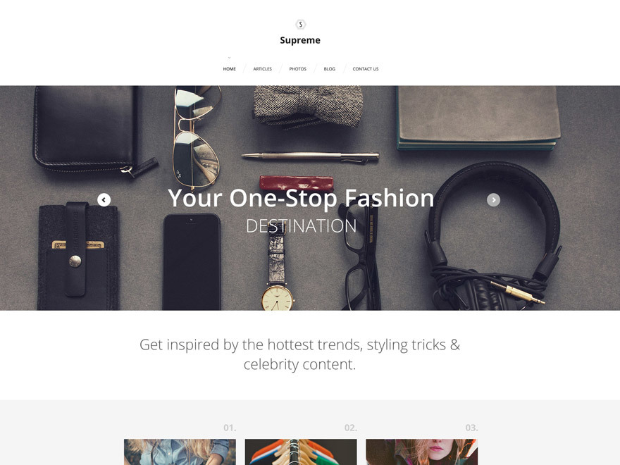 theme56019 WordPress theme