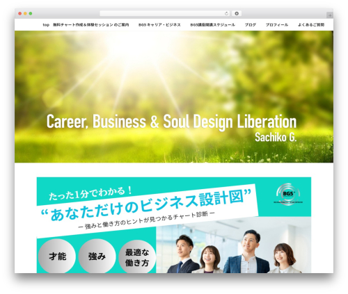 Vk blocks pro WordPress plugin - soleil333.com