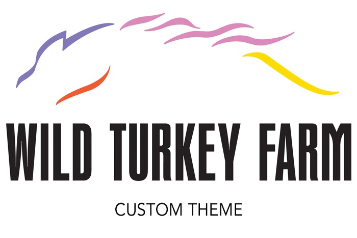 WT WordPress theme