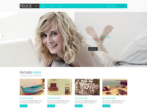 Felice Wordpress Theme WordPress theme