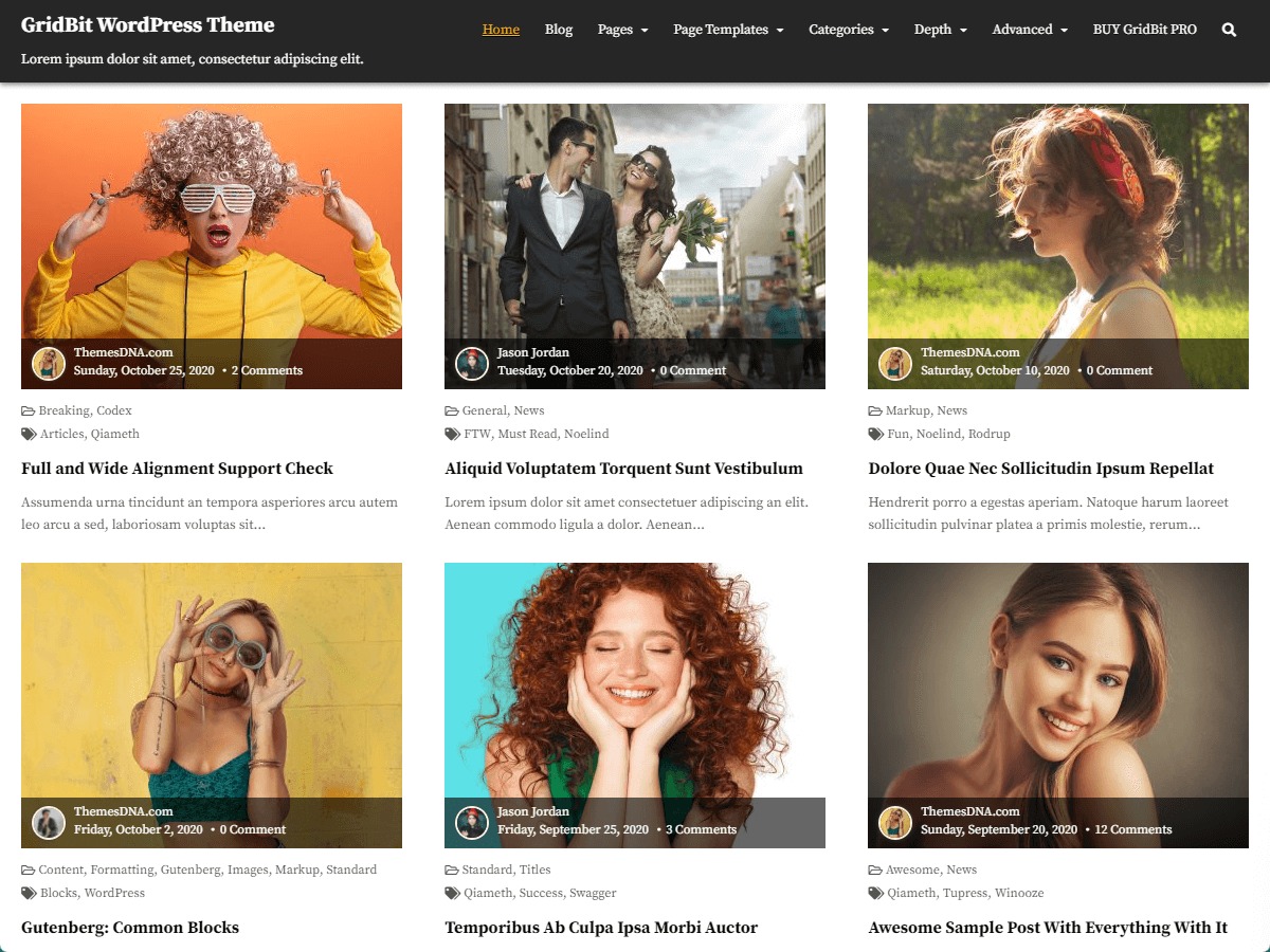 GridBit WordPress theme image GridBit WordPress theme image
