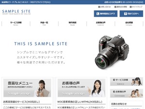 Theme WordPress theme064 by arrows