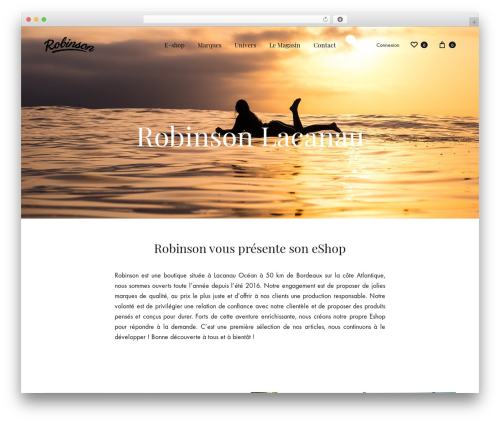Konte addons WordPress plugin - robinsonlacanau.com