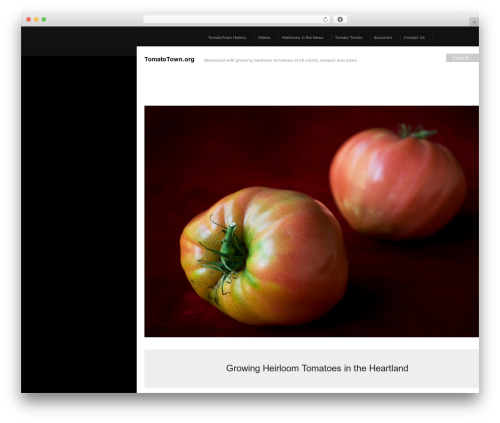 WordPress theme Modularity - tomatotown.org