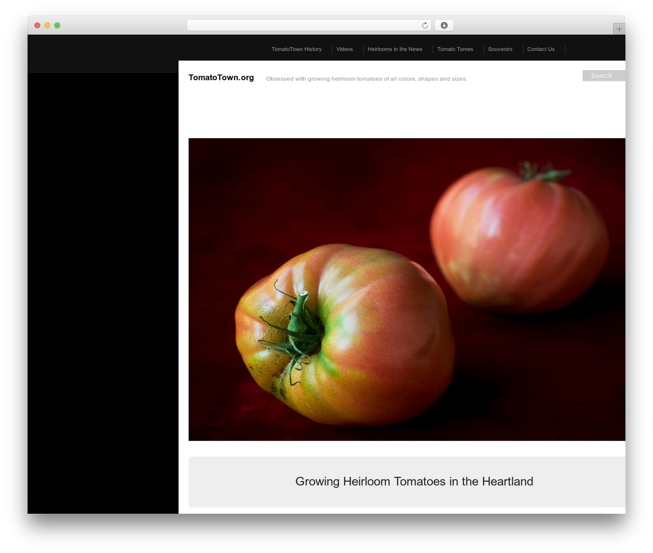 WordPress theme Modularity - tomatotown.org