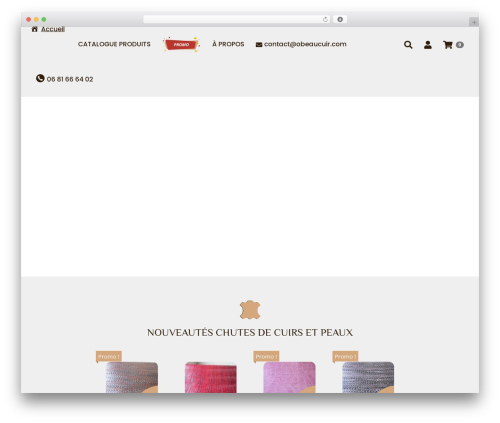 6temflex WordPress theme - obeaucuir.com