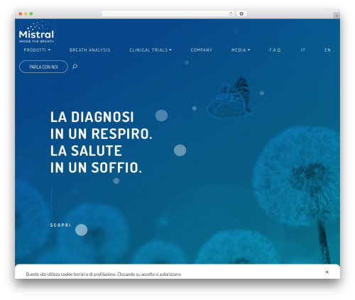 Theme WordPress AVPro - mistral-breath.it