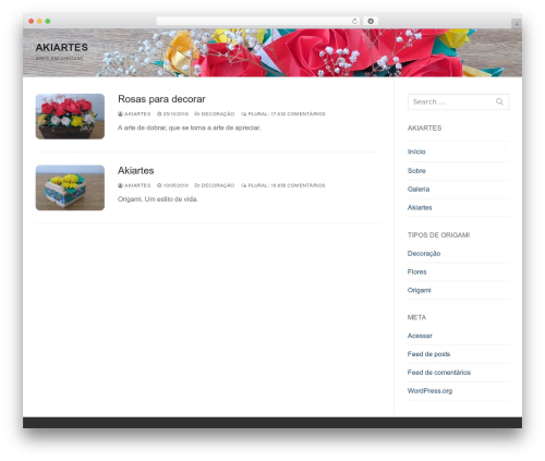 WP theme Customify - akiartes.com