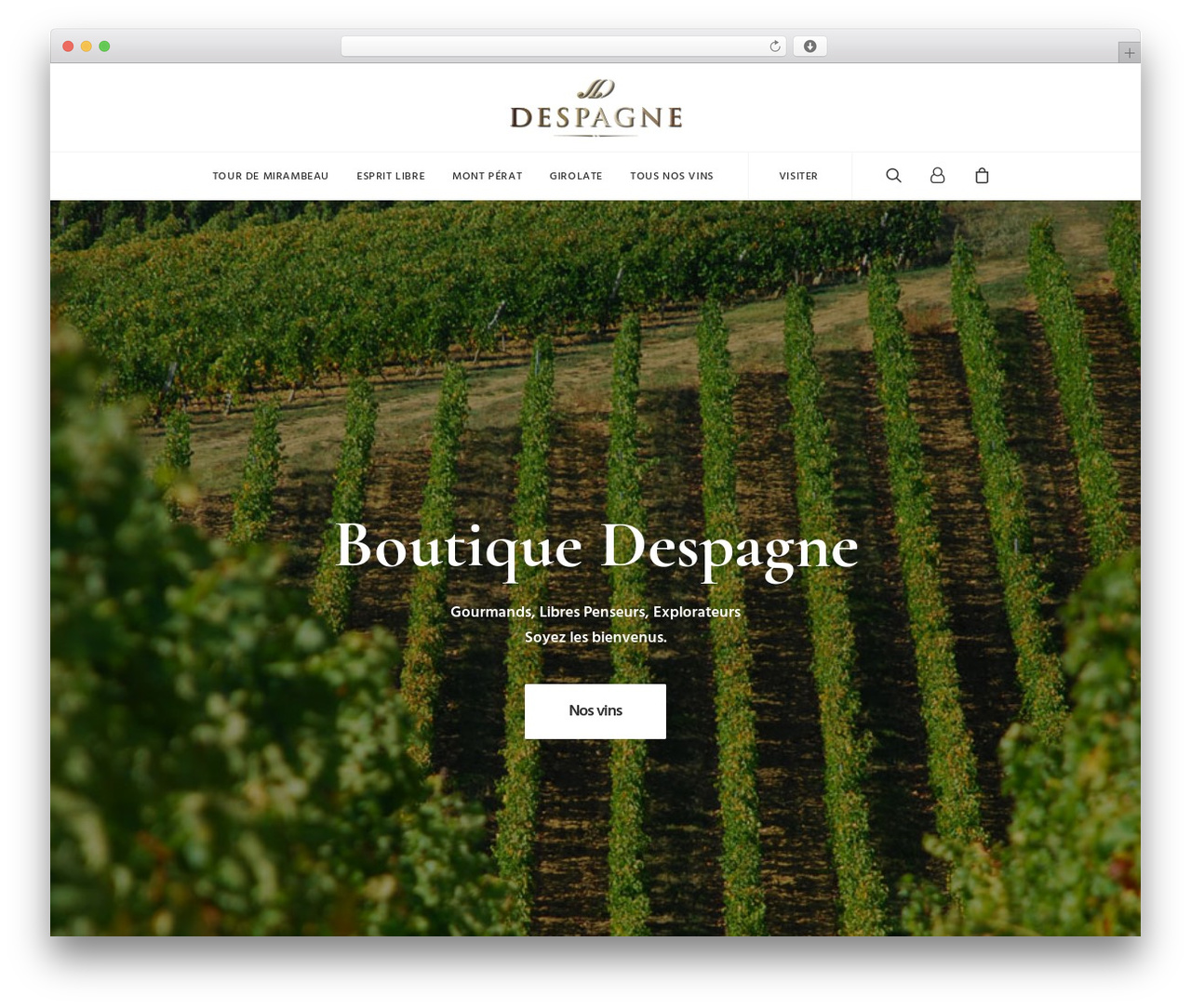 Uncode top WordPress theme - despagne.fr