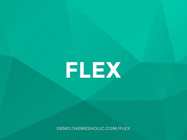 Flex WordPress theme by ThemesHolic