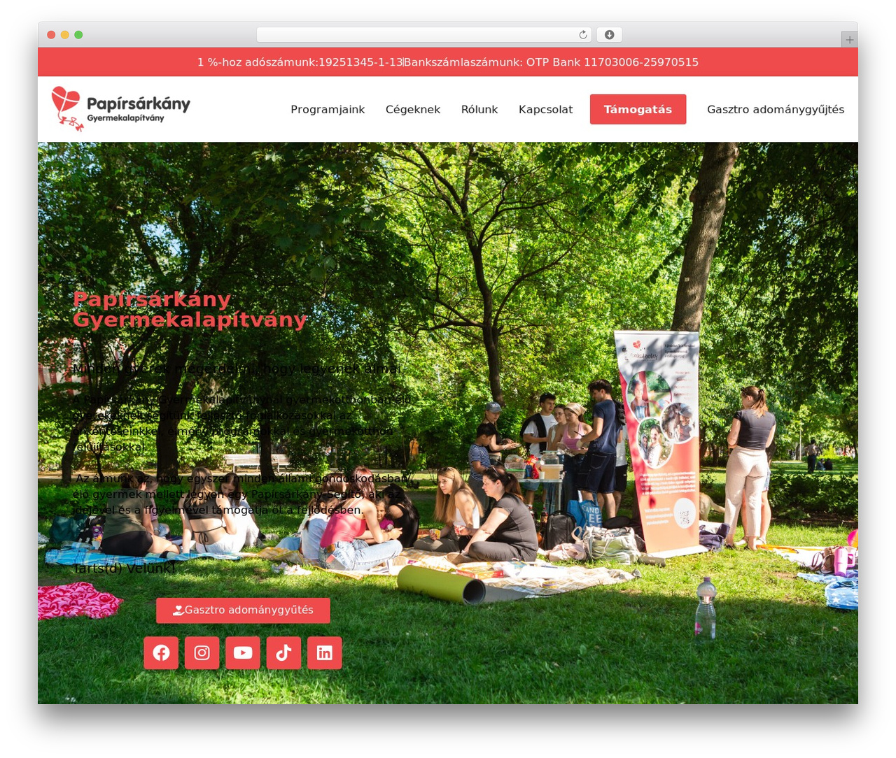 Hello Elementor Child WordPress theme - papirsarkanyalapitvany.hu