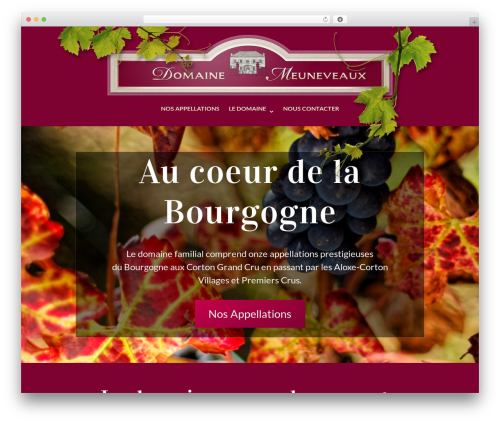 Stackable free WordPress theme - meuneveaux.com