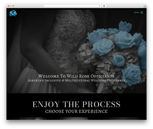Hello plus WordPress plugin - bvglmedia.com