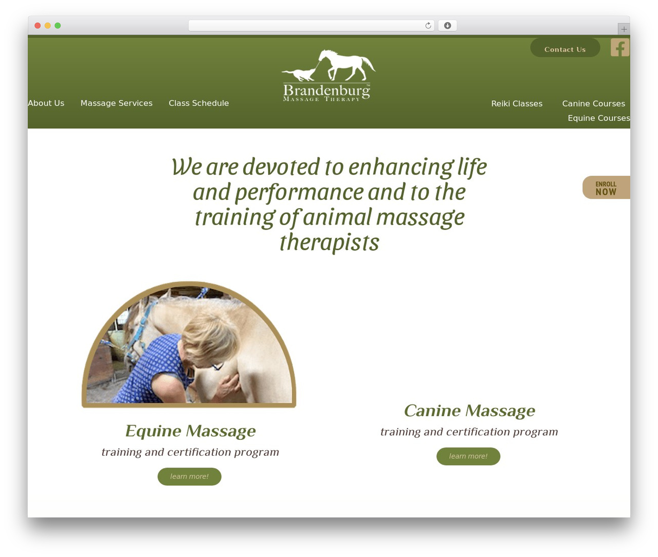 Azure Basic Child massage WordPress theme - horseanddogtherapy.com Azure Basic Child massage WordPress theme - horseanddogtherapy.com