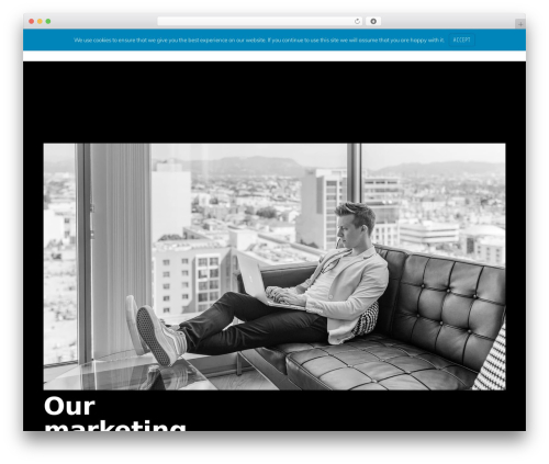 Wp hummingbird WordPress plugin - obliterate.co.za