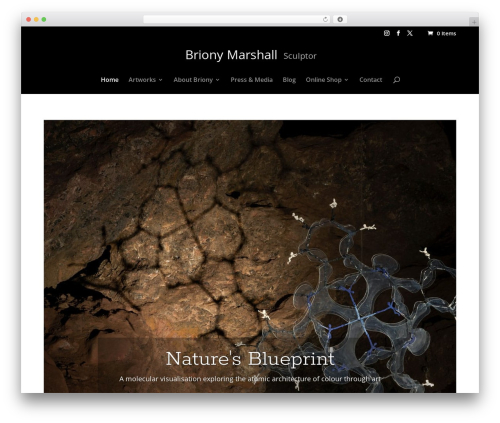 WordPress theme Divi - briony.com