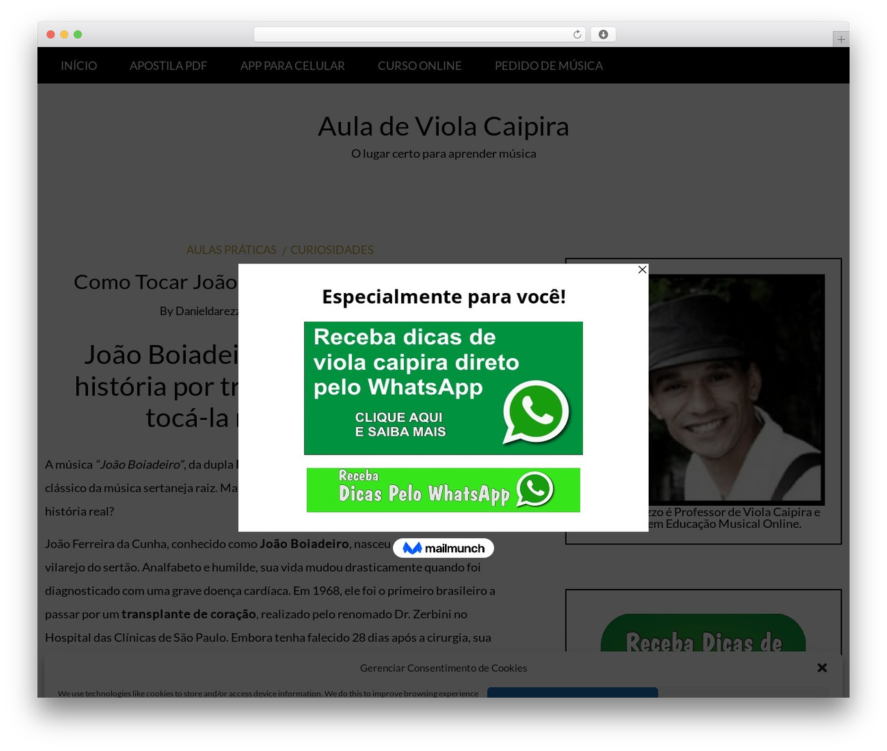 WP theme Writee - auladeviola.com WP theme Writee - auladeviola.com