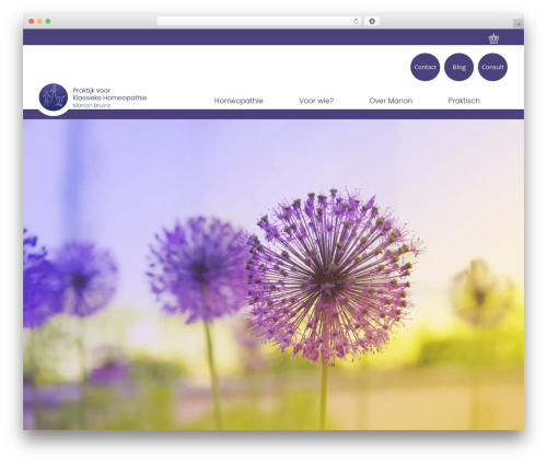 WP theme Sieronline WP Basisthema- Child - homeopathiepraktijk.net