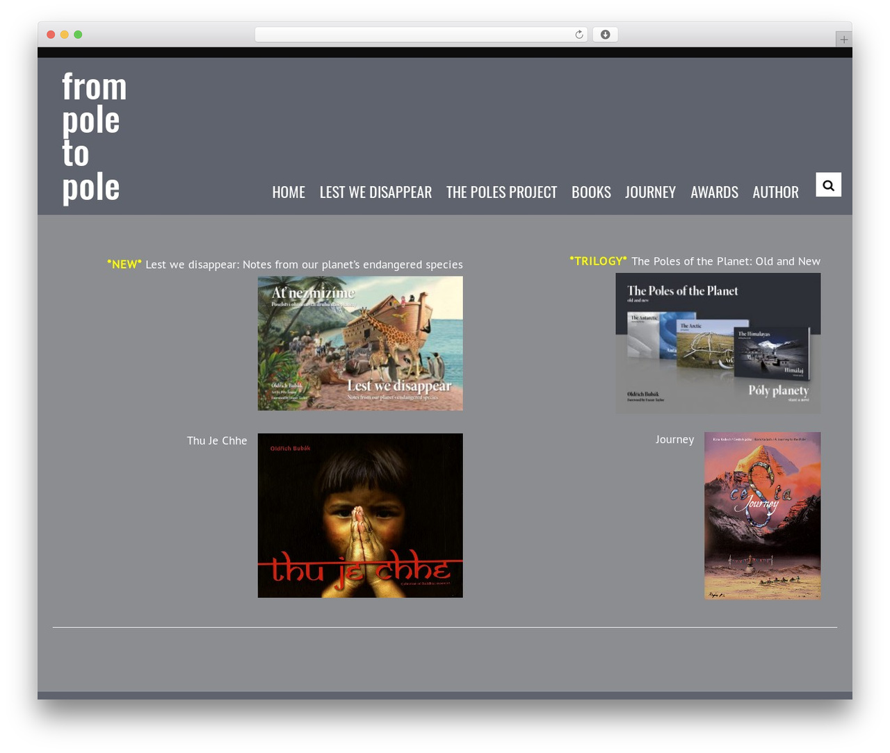 NullPoint theme WordPress - frompoletopole.com
