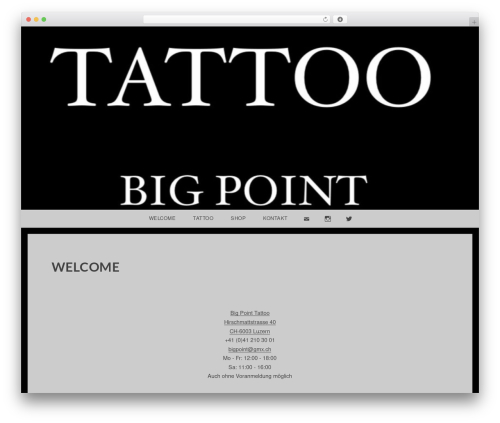WP theme Snaps - WordPress.com - bigpoint.ch