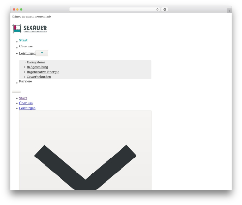 Nextbricks WordPress plugin - sexauer-gmbh.de