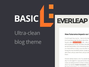 WordPress website theme Basic theme child WordPress website theme Basic theme child
