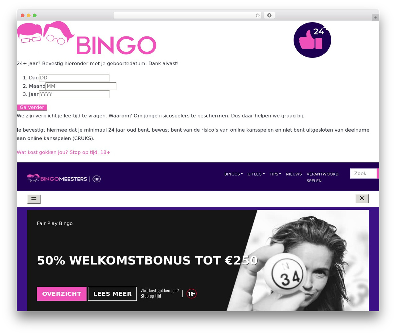 WordPress theme Meesters Theme - bingomeesters.nl