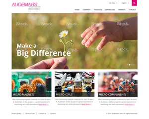Audemars WordPress theme by The Developing Team