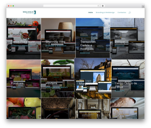 Divi premium WordPress theme - selmax.pt