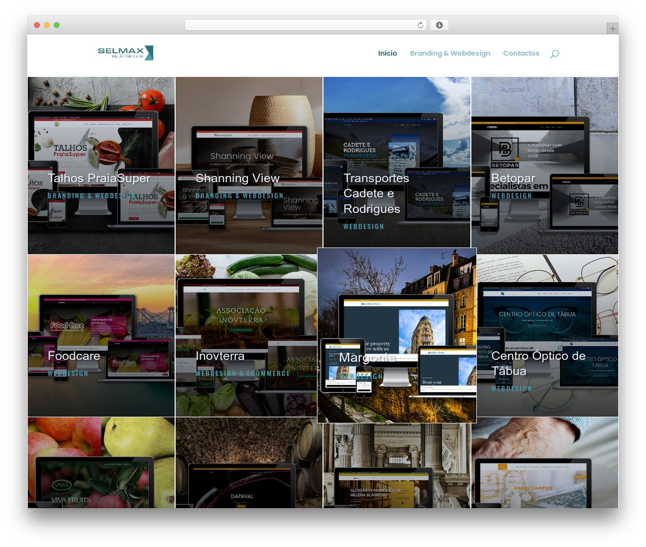 Divi premium WordPress theme - selmax.pt