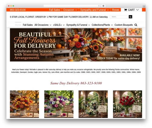 Ms commons WordPress plugin - winterhavenflowershop.com