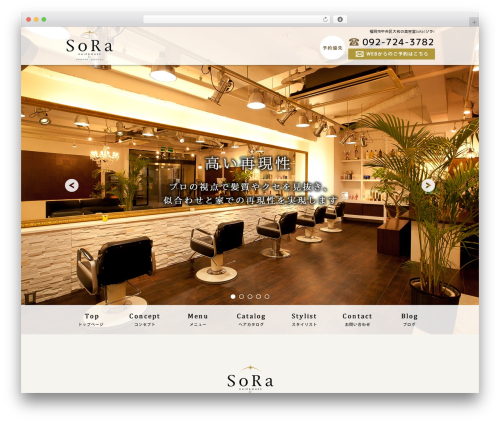 新・ソリューションパッケージ WordPress theme - sora-h.com