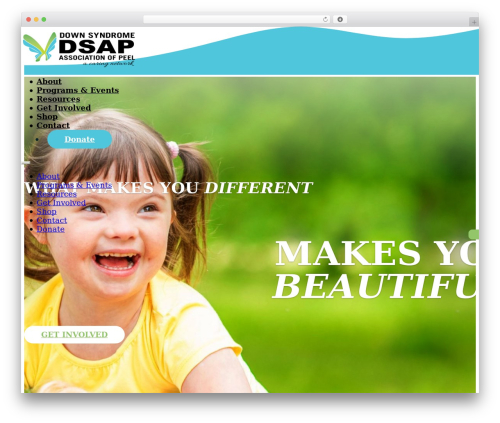 Bricks WordPress theme - dsap.ca