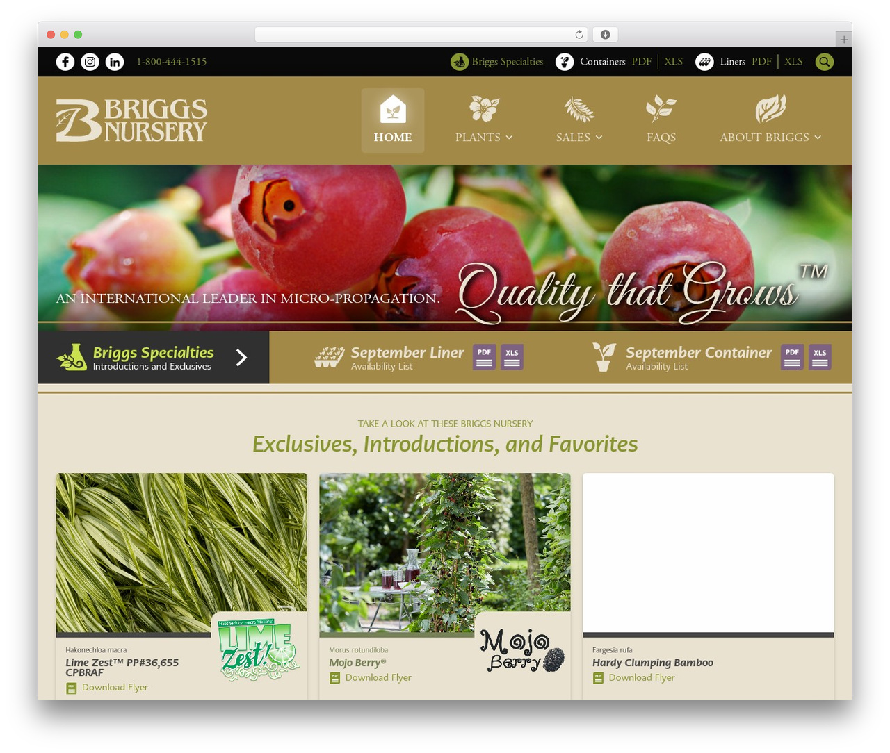 Briggs Nursery WordPress theme - briggsnursery.com Briggs Nursery WordPress theme - briggsnursery.com