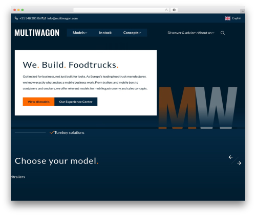 Default project WordPress theme - www.multiwagon.com