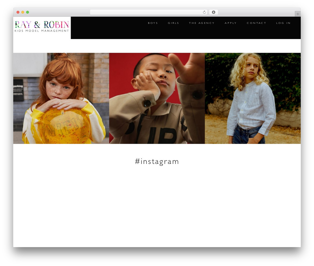 Make WP theme - rayandrobin.com